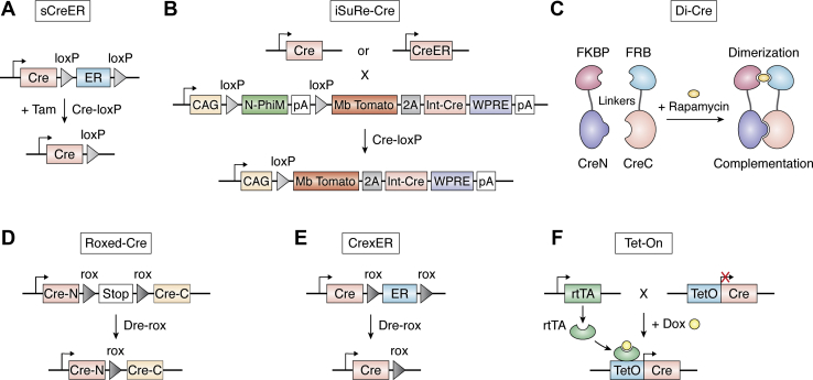 Figure 2