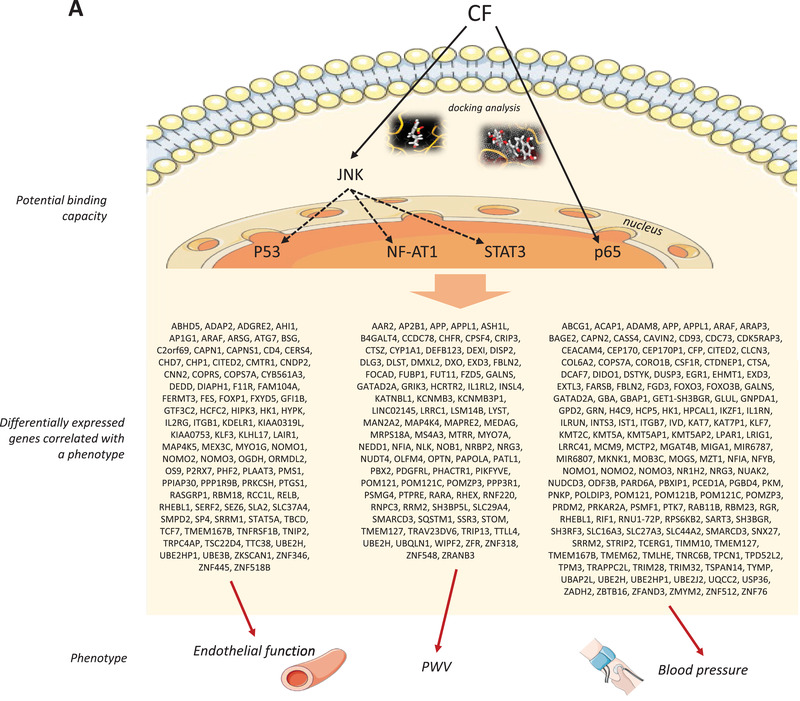 graphic file with name MNFR-66-2100991-g011.jpg