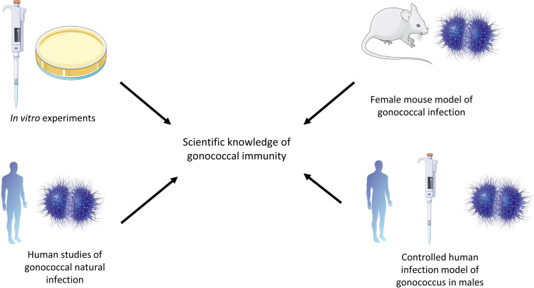 Figure 1