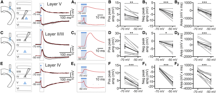 Figure 5