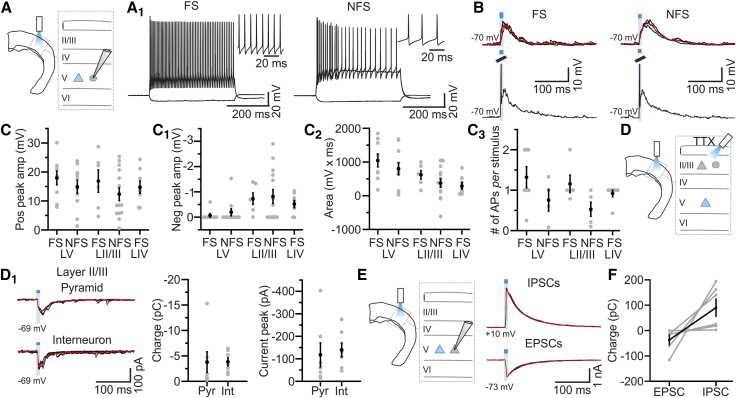 Figure 6