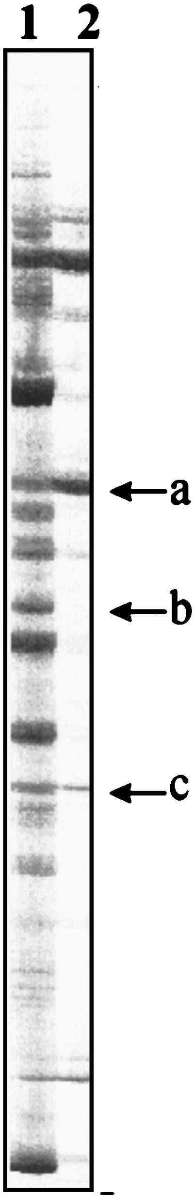 FIG. 6