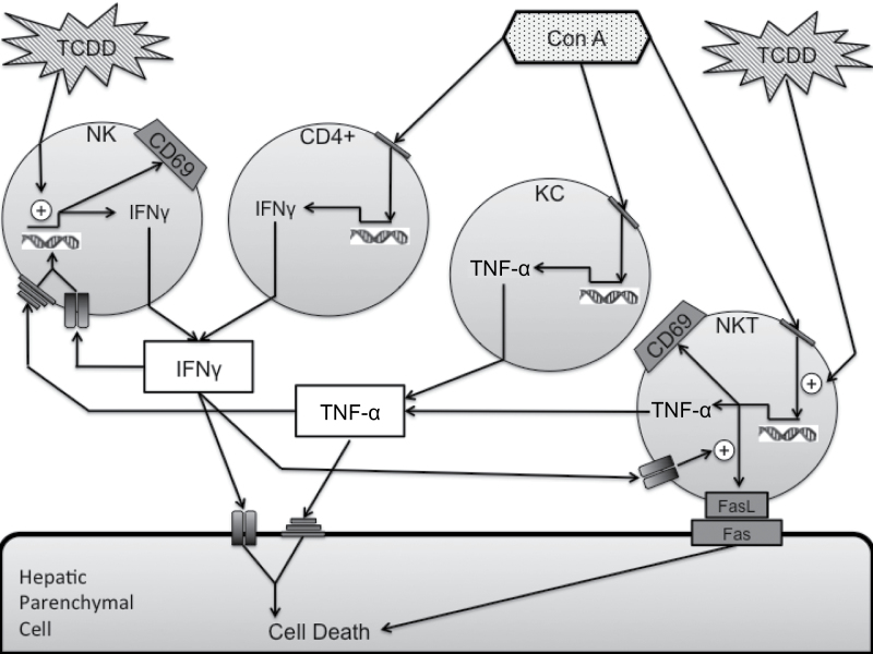 Fig. 10.