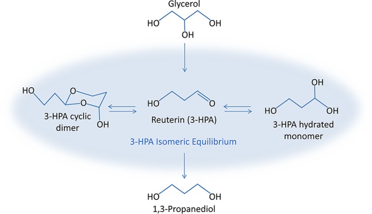 FIG 1