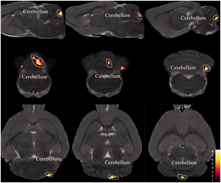 Figure 3.