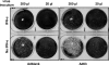 FIG. 3.