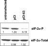 FIG. 9.