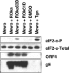 FIG. 8.