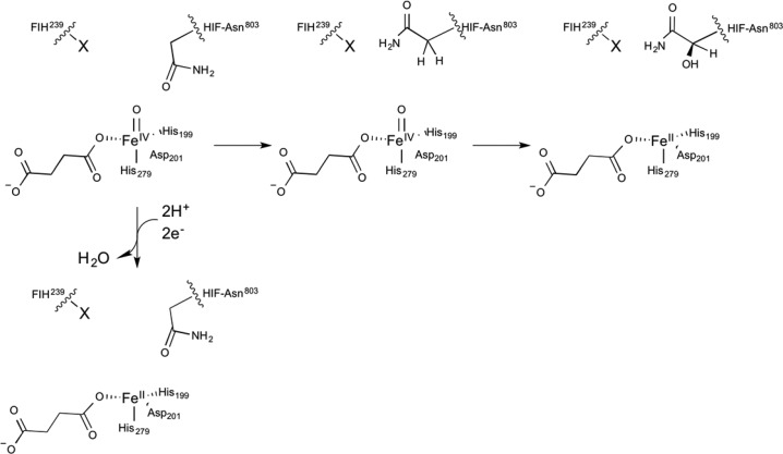 Scheme 2