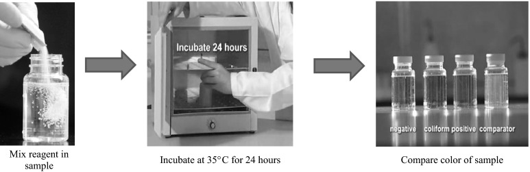 Fig. 3