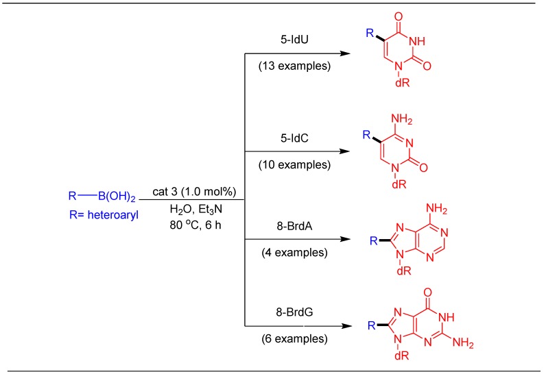 Scheme 5