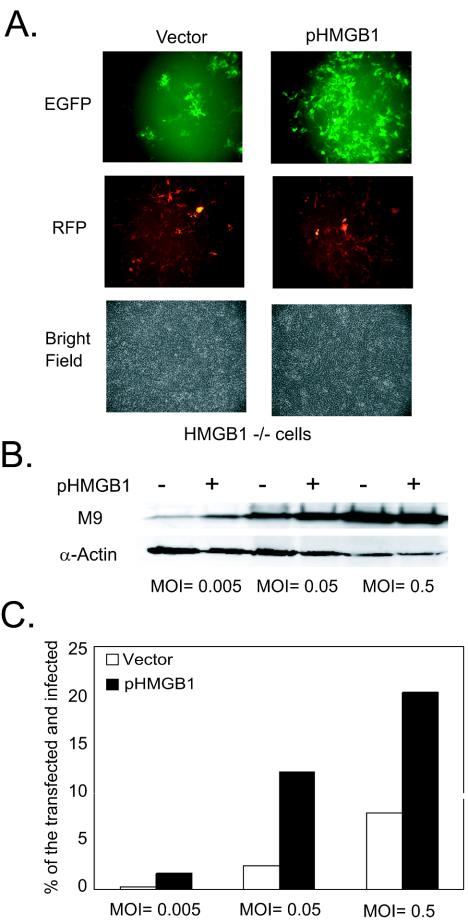 FIG. 6.