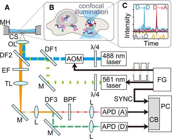 Figure 2.