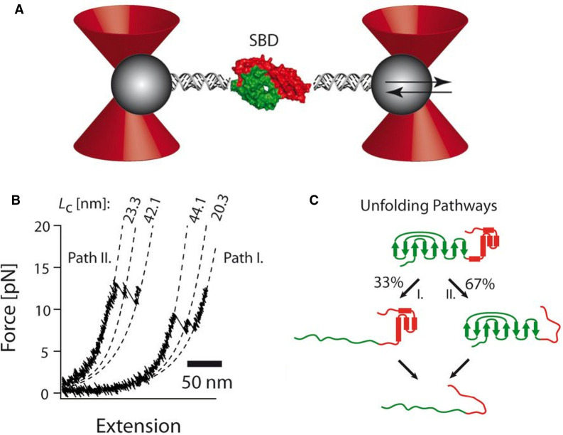 Figure 4.