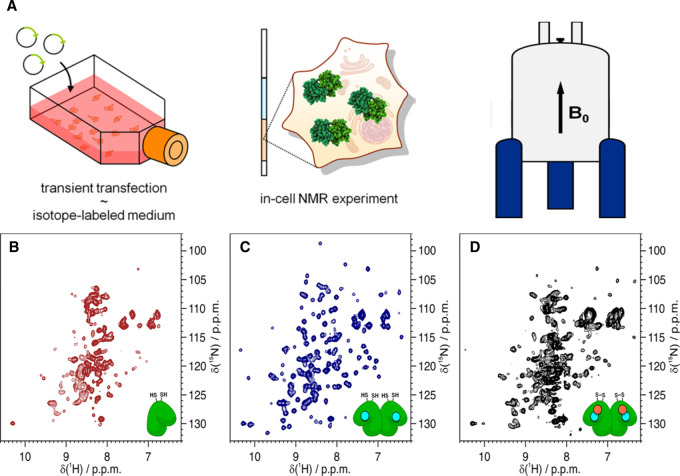 Figure 3.