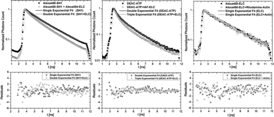 Fig. 6