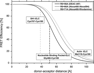 Fig. 7