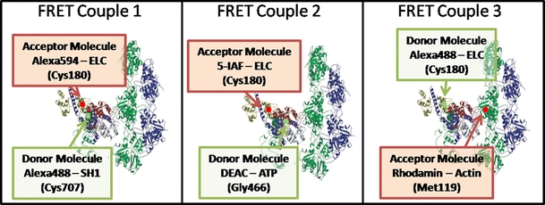 Fig. 1