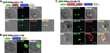 FIG. 7.