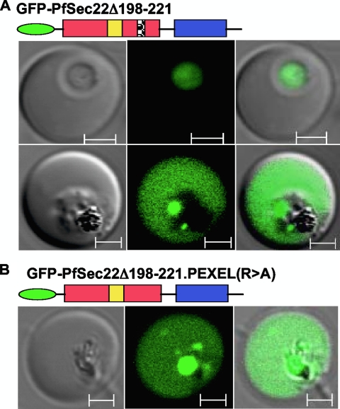 FIG. 9.