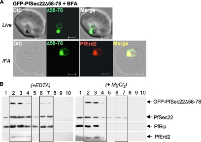 FIG. 8.