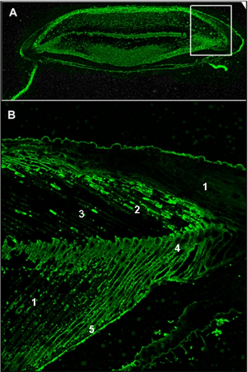 FIGURE 10.