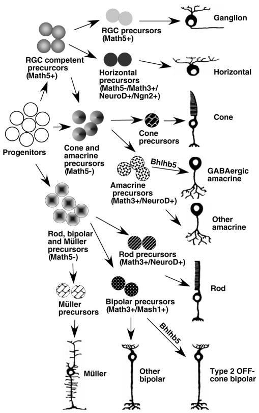 Fig. 8