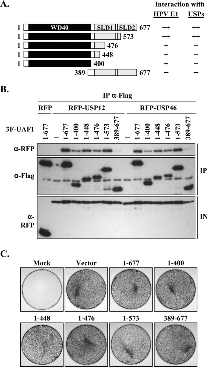 FIG 2