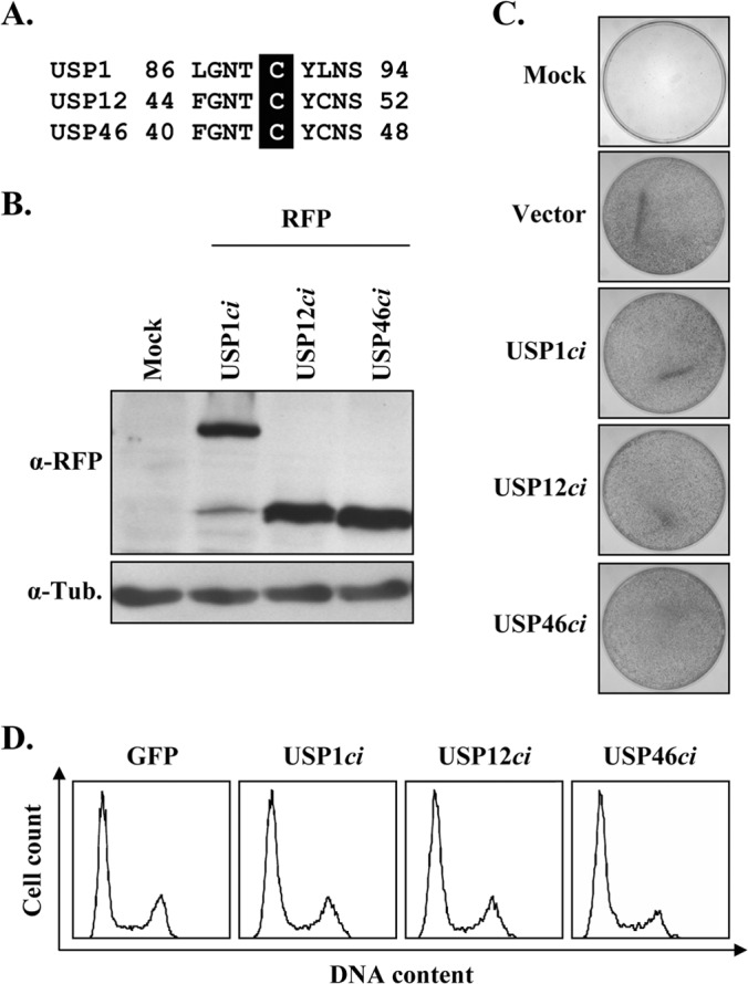 FIG 6