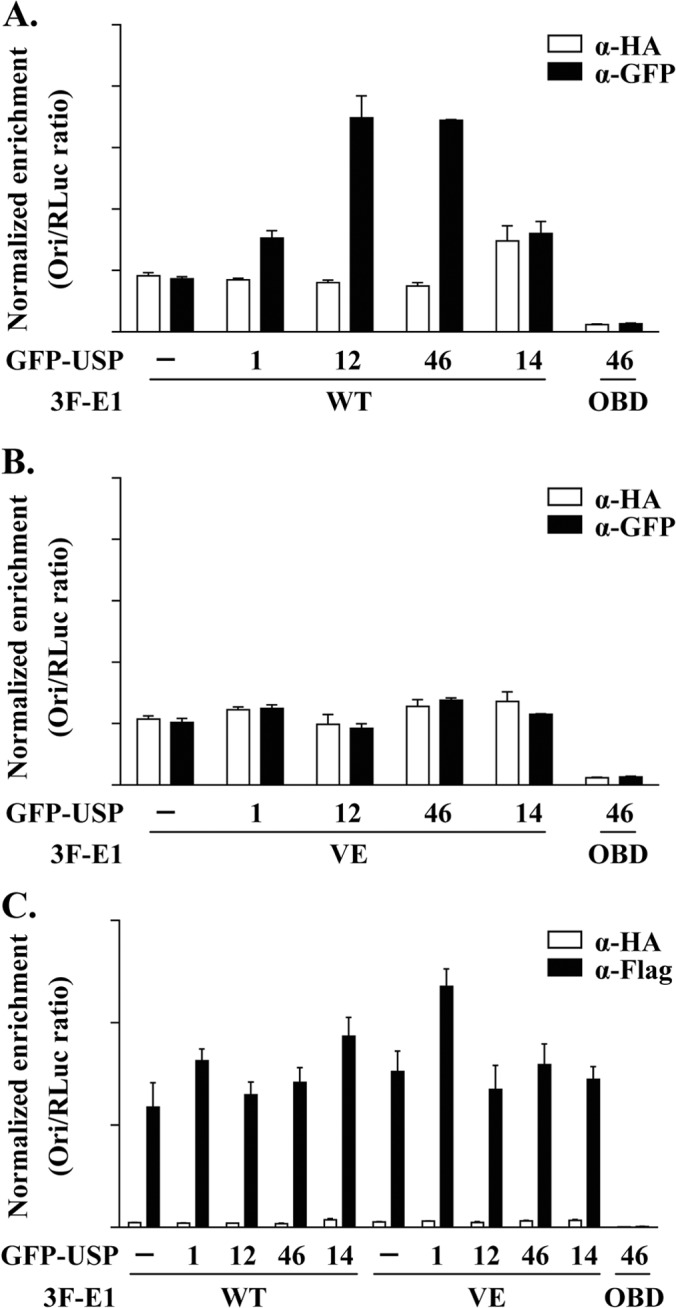 FIG 4