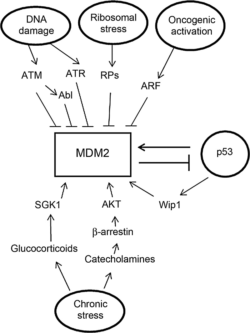 Figure 2.