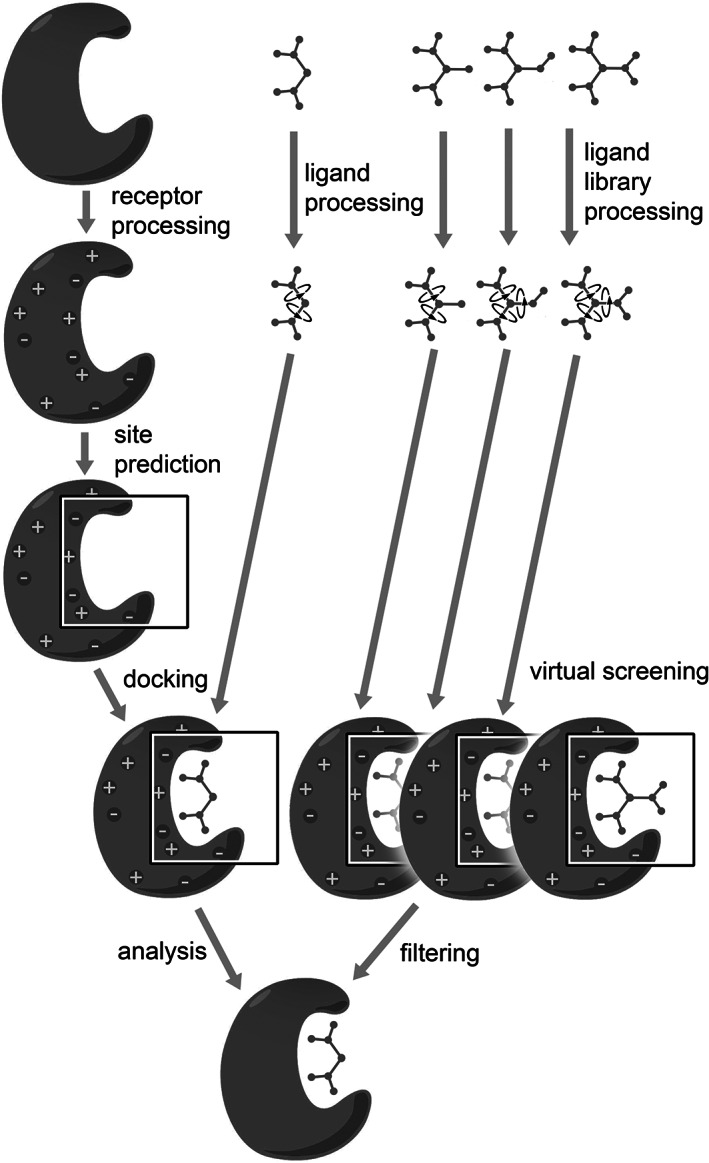 FIGURE 2