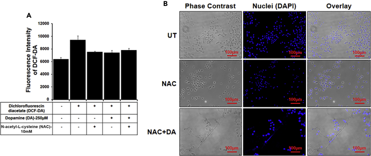 Figure 3