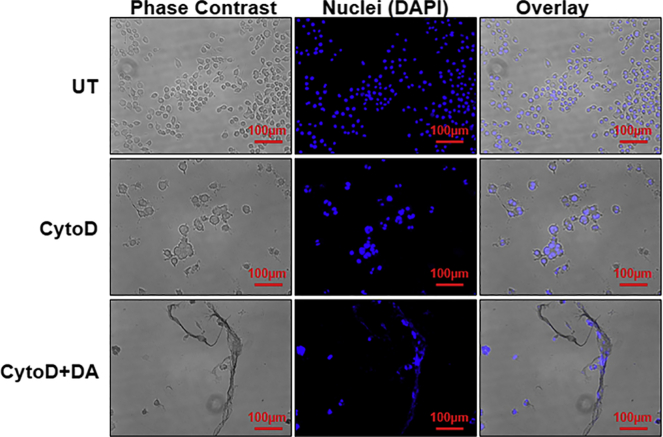 Figure 4