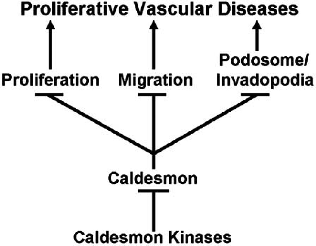 Fig. (1)