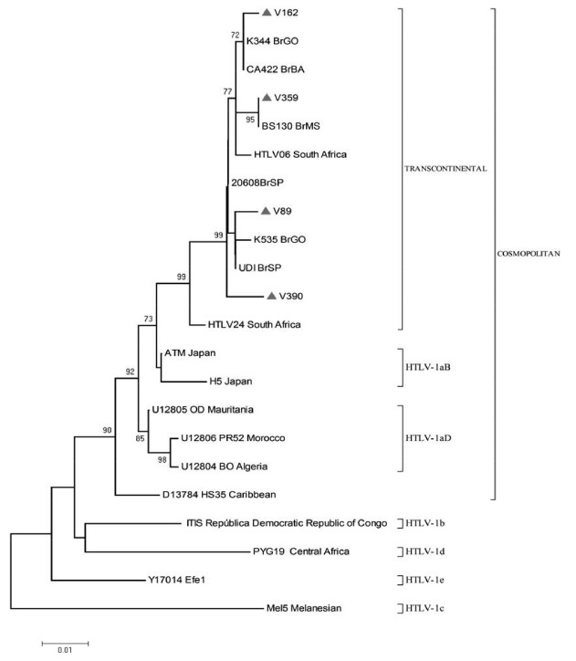 Fig. 1