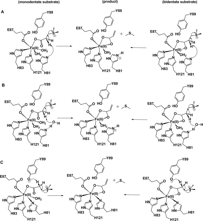 Fig 10