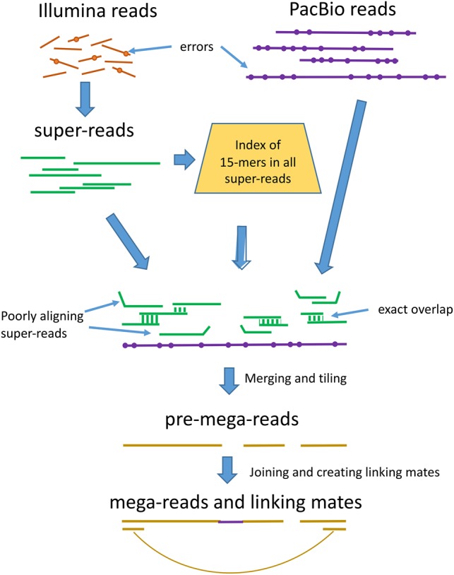 Figure 1.