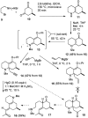 Scheme 2