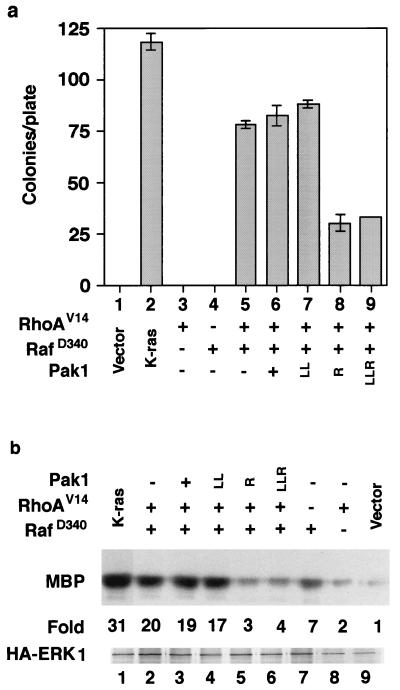 FIG. 6