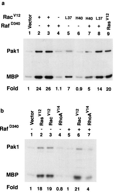 FIG. 9