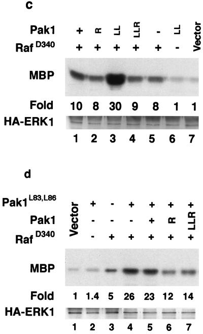 FIG. 5