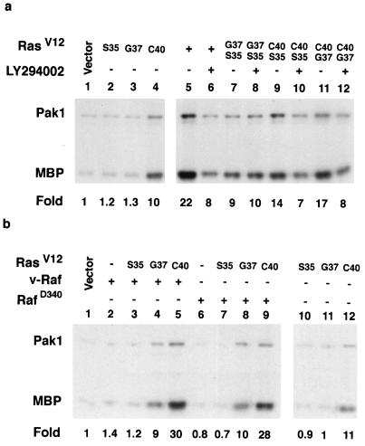 FIG. 8