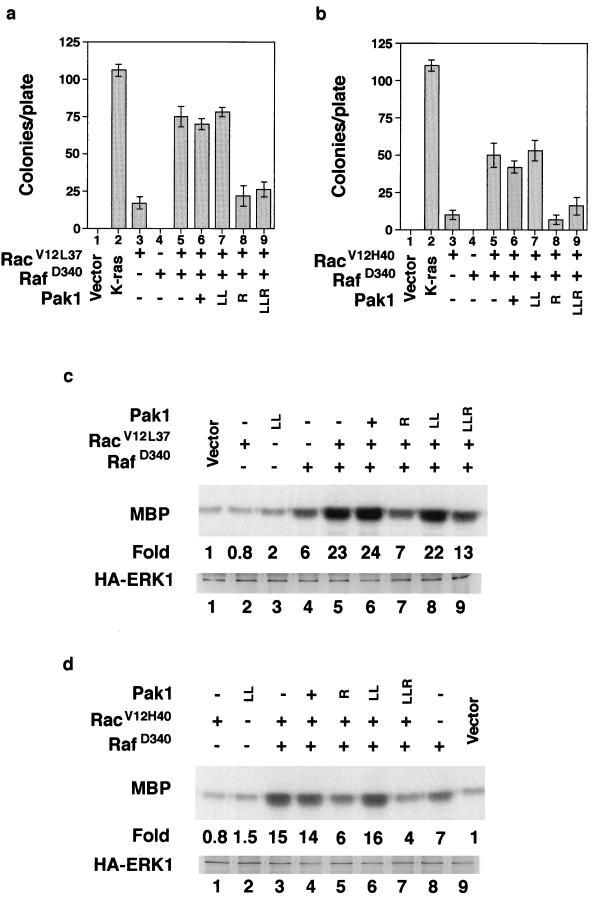 FIG. 7