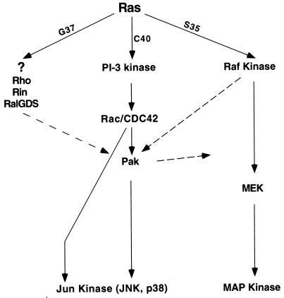 FIG. 10