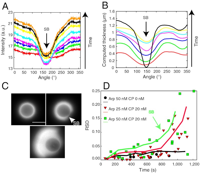 Fig. 3.