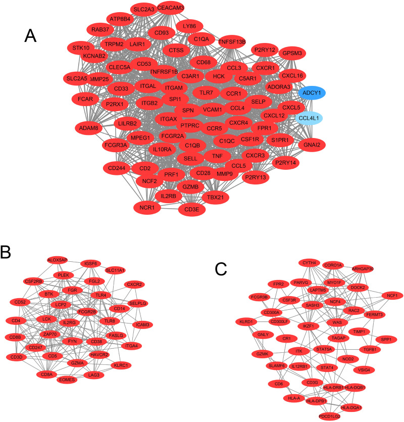 Figure 4.