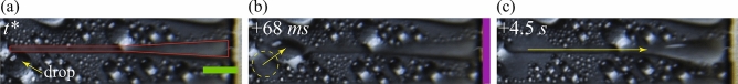 Figure 8