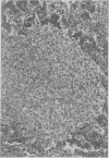 478-5