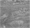 478-7